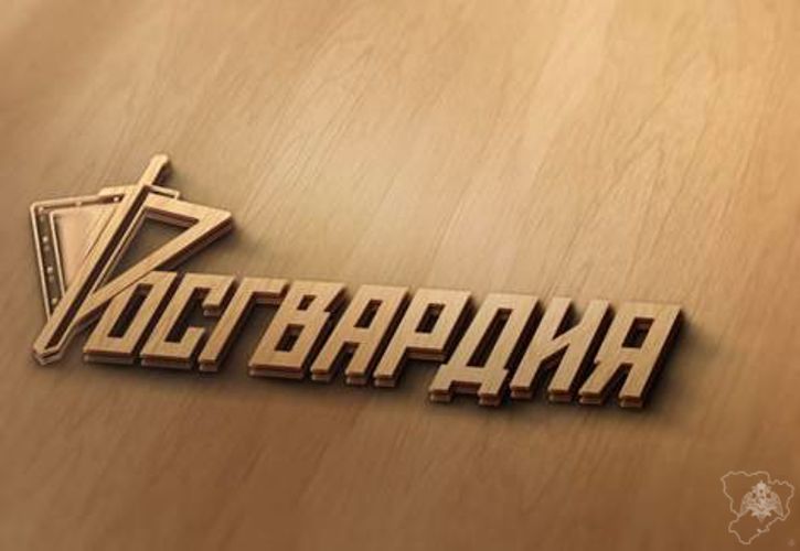 Нарядами вневедомственной охраны Росгвардии в Волгоградской области задержаны подозреваемые в краже и разбойном нападении