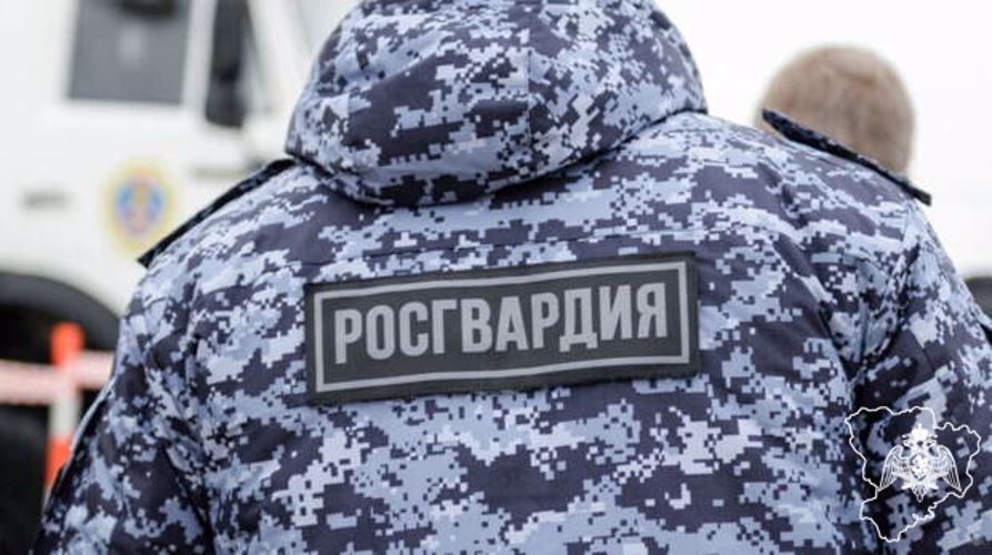 Несколько правонарушений пресекла Росгвардия в Волгоградской области