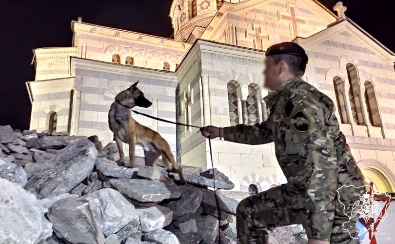 СПЕЦИАЛИСТЫ-КИНОЛОГИ ЮЖНОГО ОКРУГА РОСГВАРДИИ ОТМЕЧАЮТ ПРОФЕССИОНАЛЬНЫЙ ПРАЗДНИК