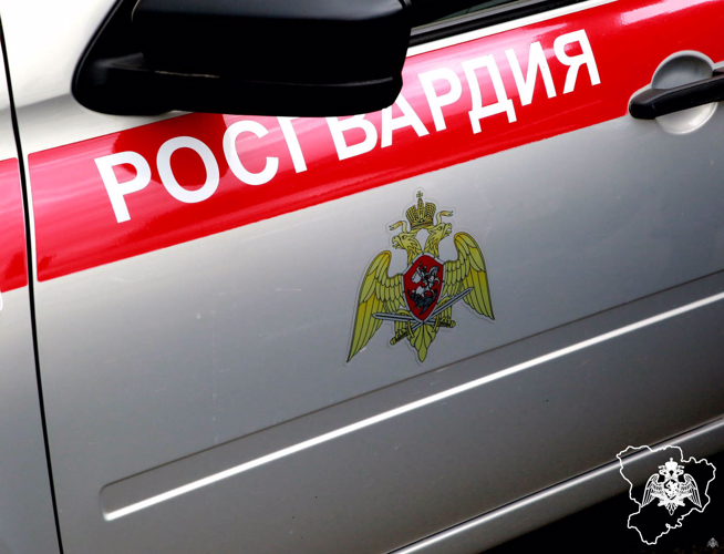 Рецидивистов, подозреваемых в новых кражах задержали росгвардейцы в Волгограде