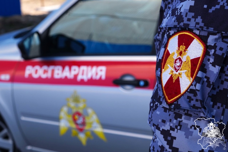 Росгвардейцы совершили более 600 выездов по сигналу «тревога» и изъяли 42 единицы оружия за различные правонарушения в Волгоградской области