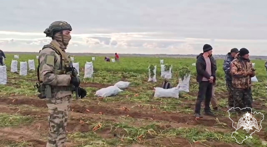 В Волгоградской области при силовой поддержке спецназа Росгвардии прошел миграционный рейд