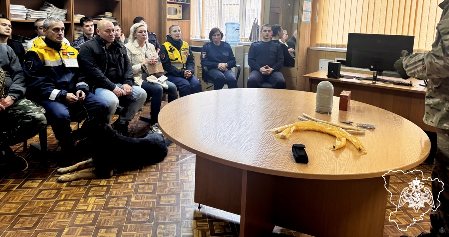 В Волгограде росгвардейцы провели совместные занятия с сотрудниками транспортной полиции