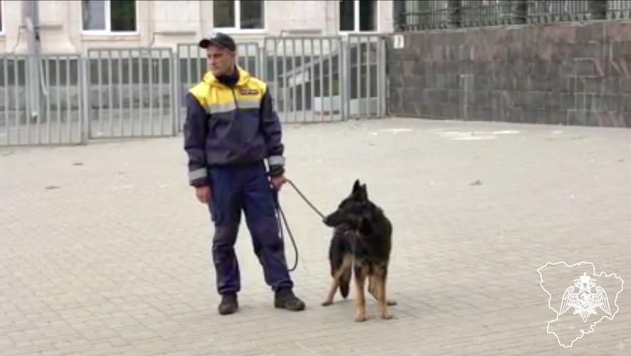 В Волгограде росгвардейцы провели совместные занятия с сотрудниками транспортной полиции
