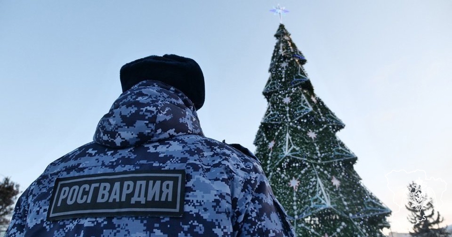 Более 800 раз росгвардейцы выезжали по сигналу «Тревога» за минувшие праздничные дни