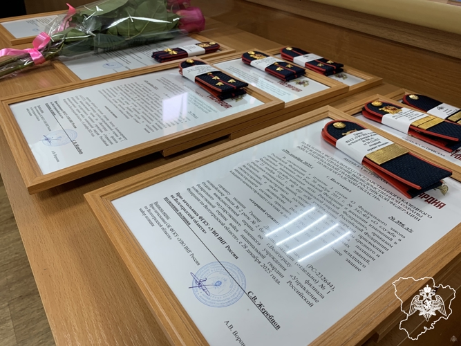 В Управлении вневедомственной охраны Росгвардии по Волгоградской области подвели итоги служебно-боевой деятельности за 2025 год