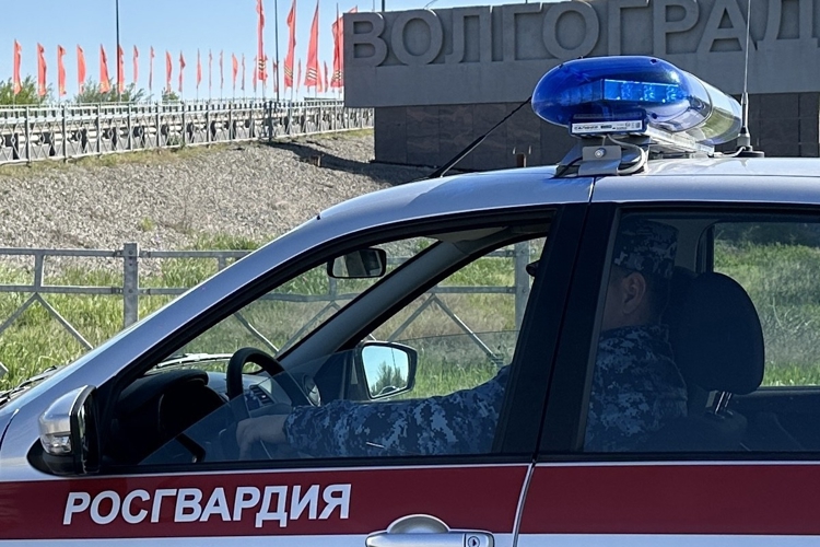 На прошлой неделе сотрудники Росгвардии 250 раз выезжали по сигналам «Тревога», поступивших с охраняемых объектов.