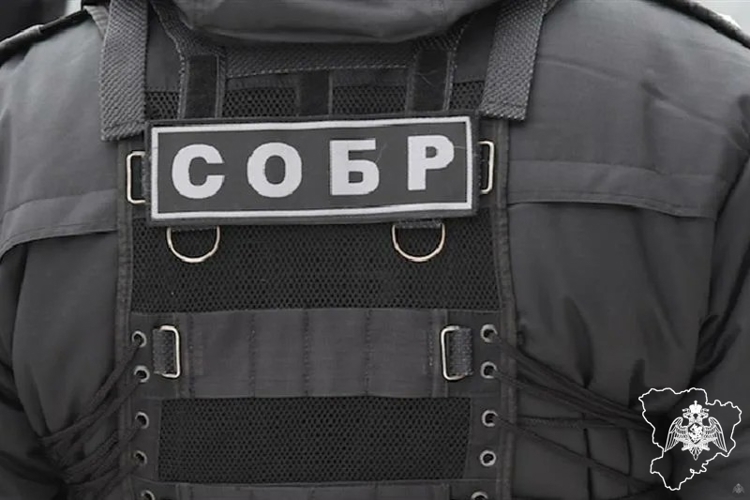 В Волгограде при силовой поддержке спецназа Росгвардии задержана преступная группа