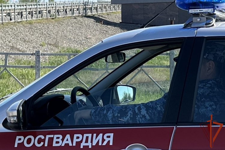 Более 300 раз за неделю росгвардейцы в Волгоградской области выезжали по сигналу «Тревога»
