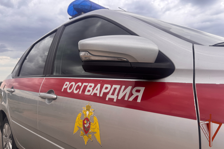 В Волгоградской области росгвардейцы задержали ряд правонарушителей
