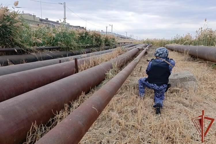 Сотрудники Росгвардии провели межведомственную тренировку